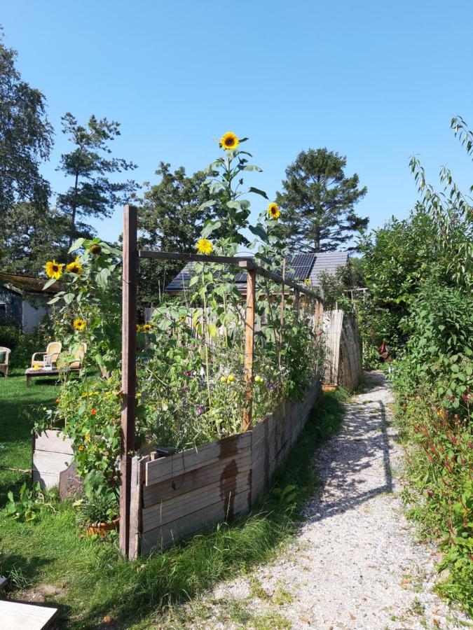 Ecolodge De Parel Шорл Екстериор снимка