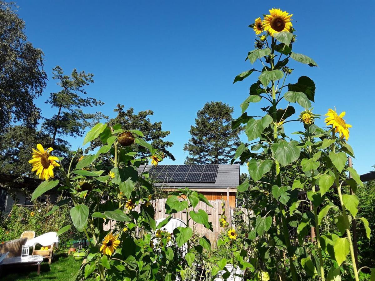 Ecolodge De Parel Шорл Екстериор снимка